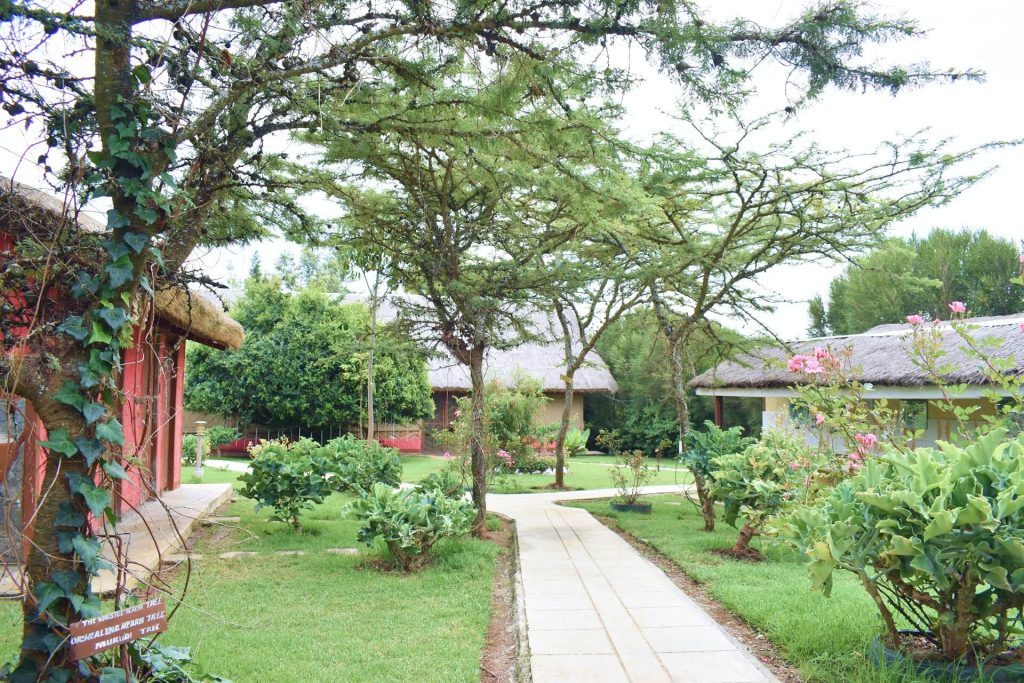 Lalanasi Lodge & Tented Camp