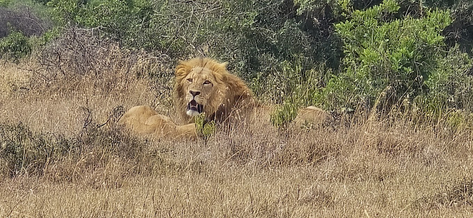 Mount Kenya Wildlife Conservancy