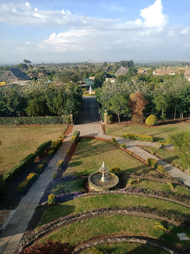 Giraffe Ark Game Lodge