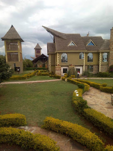 Giraffe Ark Game Lodge