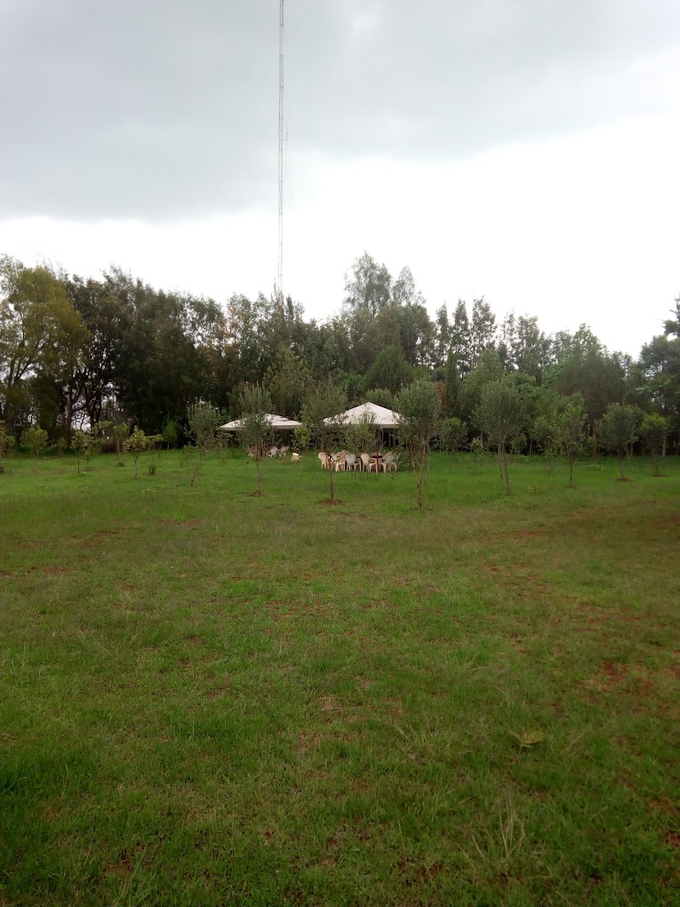 Suera Star Point Restaurant