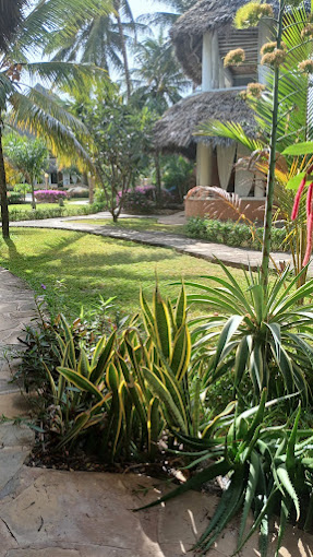 Tembo Court Apartments