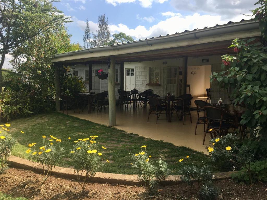 The 100 Year Old House