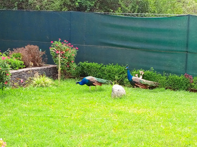 Govan Laikipia Holiday Home