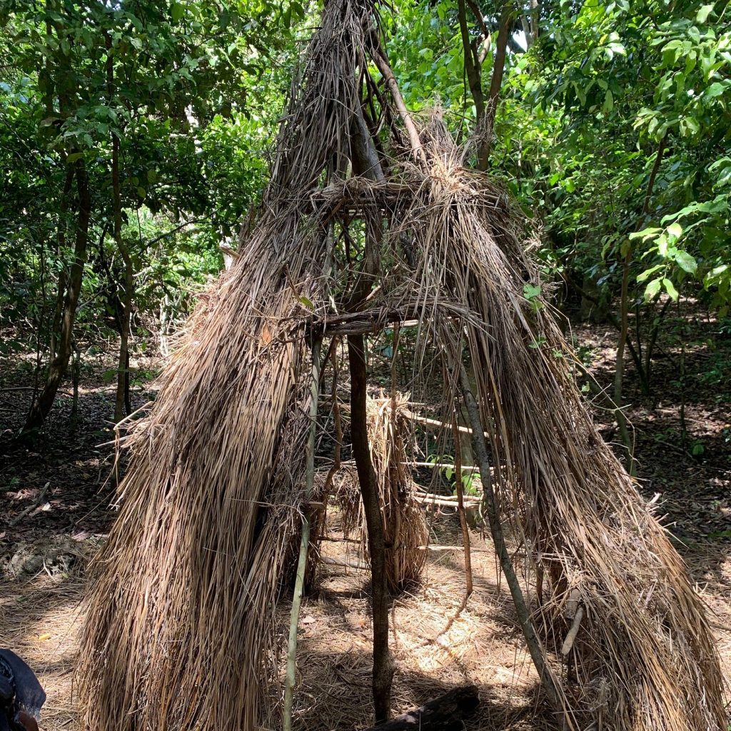 Kaya Kinondo Sacred Forest