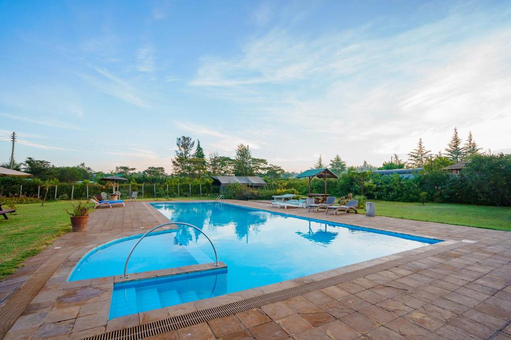 The 100 Year Old House