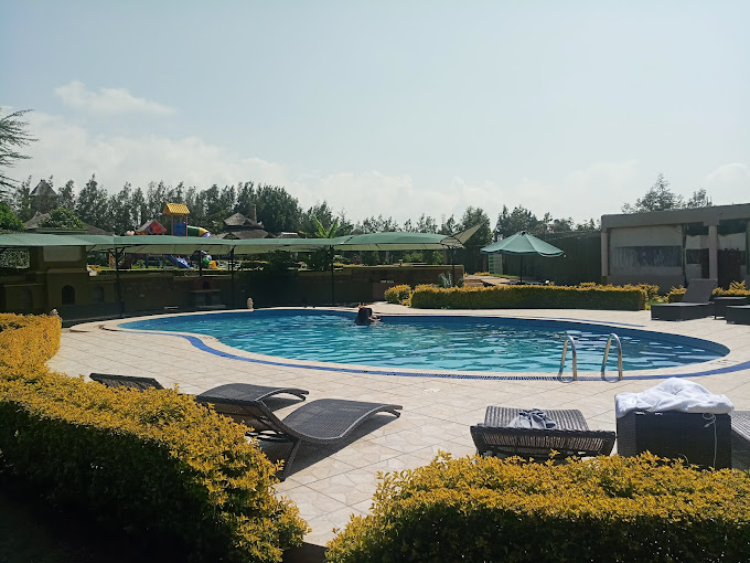 Giraffe Ark Game Lodge