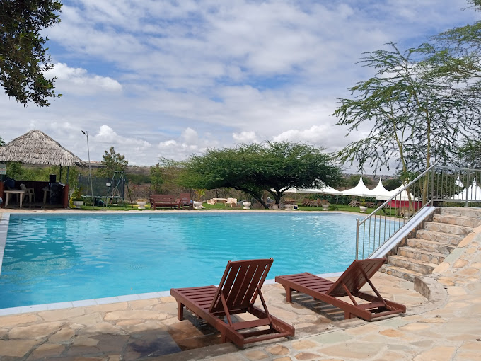 Whistling Morans Ltd