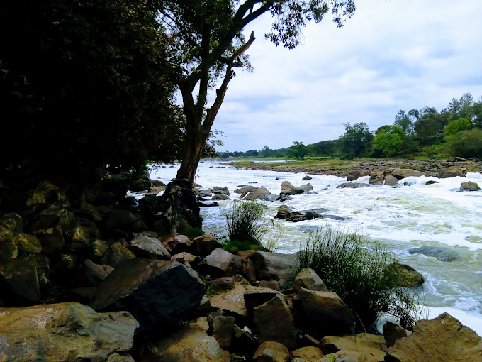 Ol Donyo Sabuk National Park