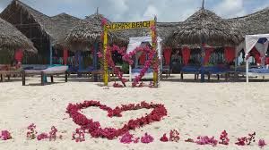 Salama Beach Jacaranda