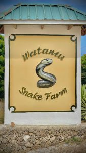 Watamu Snake Farm