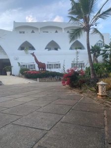 Sun Palm Beach wellness & retreat