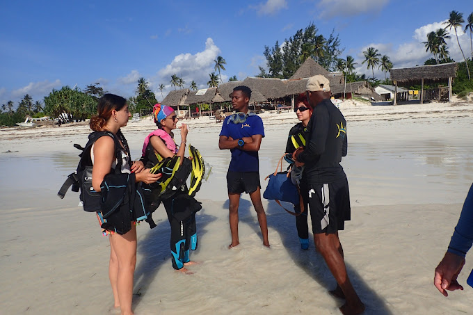 Yellow Fins Diving Kenya