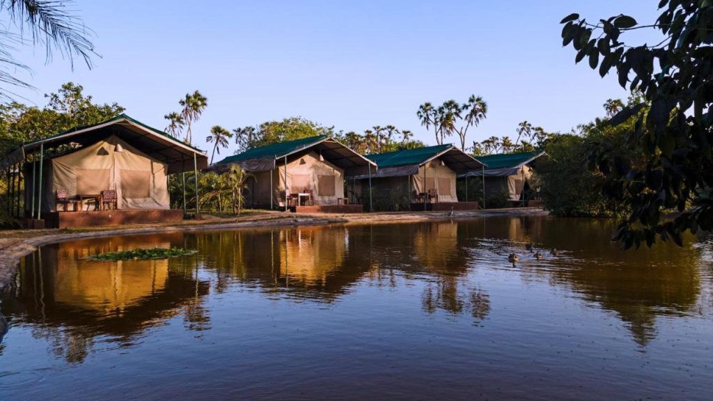 BoraBora Wildlife Park and Luxury Tented Safari Camp Diani