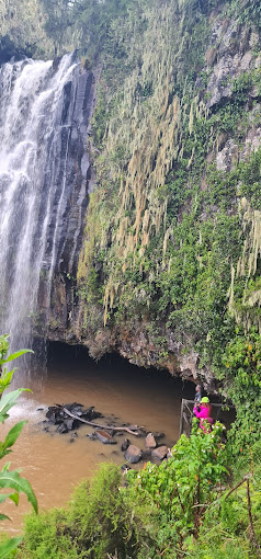 Ruhuruini Public Campsite