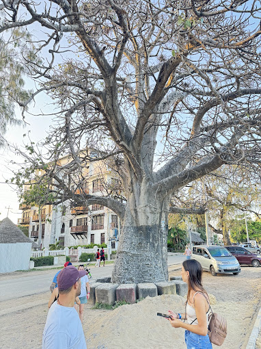 Seafront Swahili Dishes