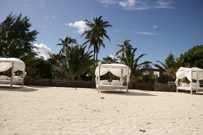 Brown Eagle Beach Villa