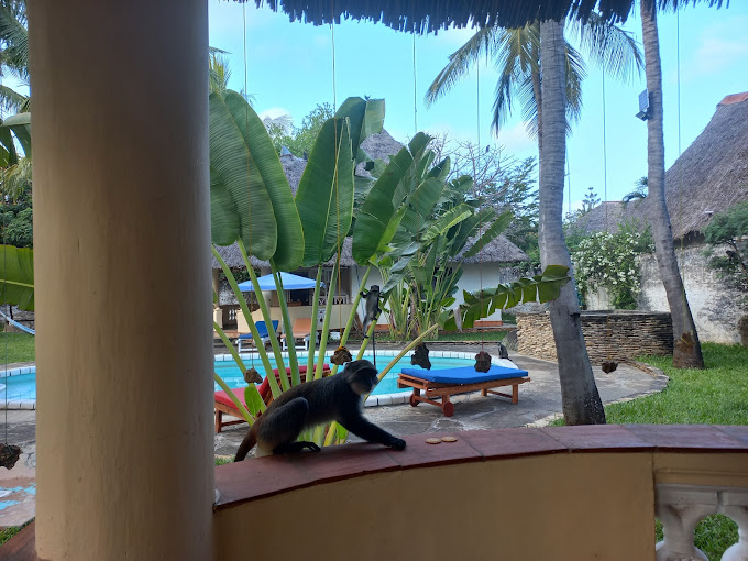 Coco’s Paradise Cottages & Apartments