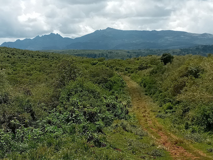 Aberdare Fishing Lodge