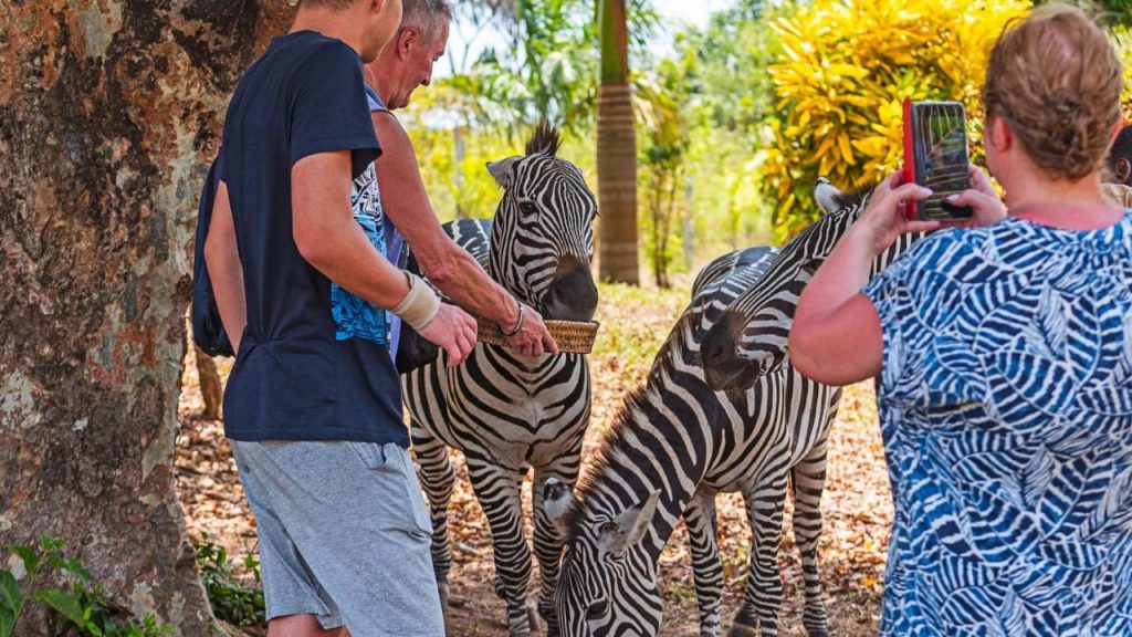 BoraBora Wildlife Park and Luxury Tented Safari Camp Diani