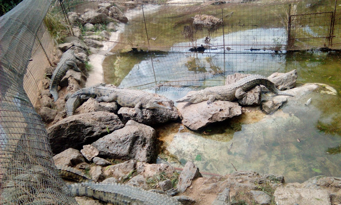 Nairobi Mamba Village