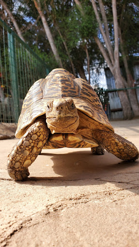 Stedmak Gardens and Recreation Centre