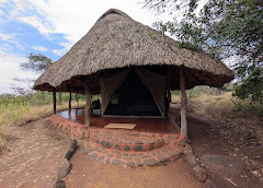 Lewa Safari Camp