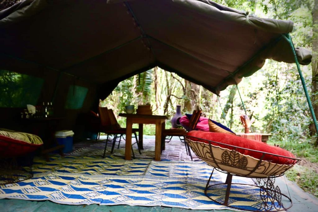 Amboni Riverine Forest Camp