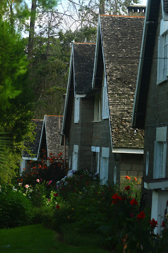 THOMSONS FALLS LODGE