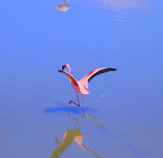 Shompole Conservancy