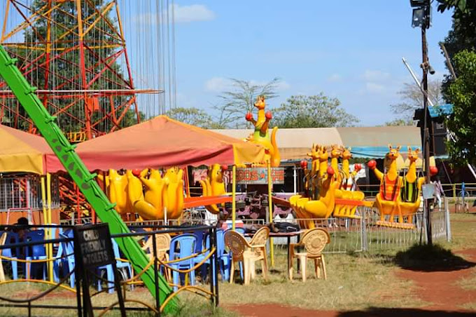Luna Park international
