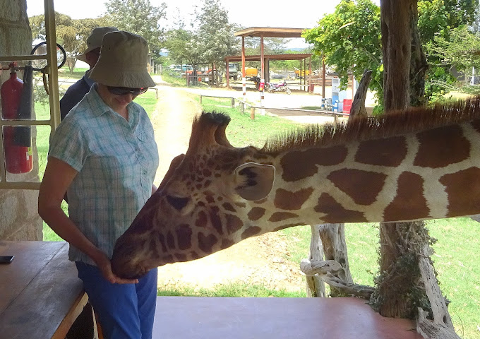 Ekorian’s Mugie Camp