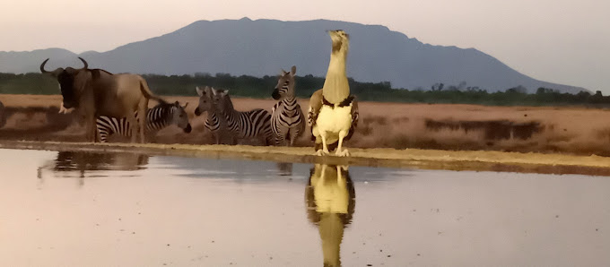 Shompole Conservancy