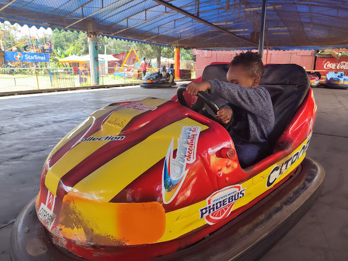 Luna Park international