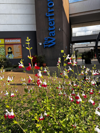 The Waterfront Karen