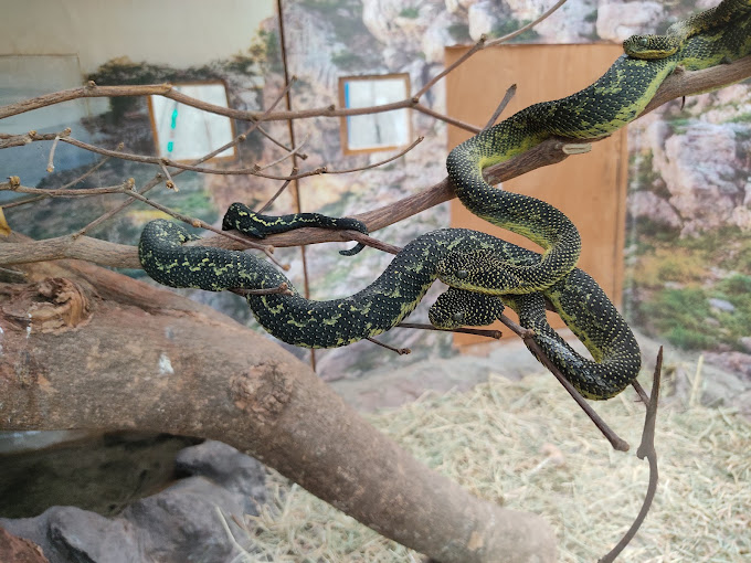 Stedmak Gardens and Recreation Centre
