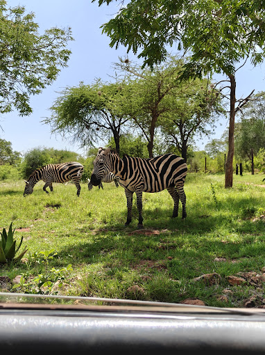 Mwea National Reserve