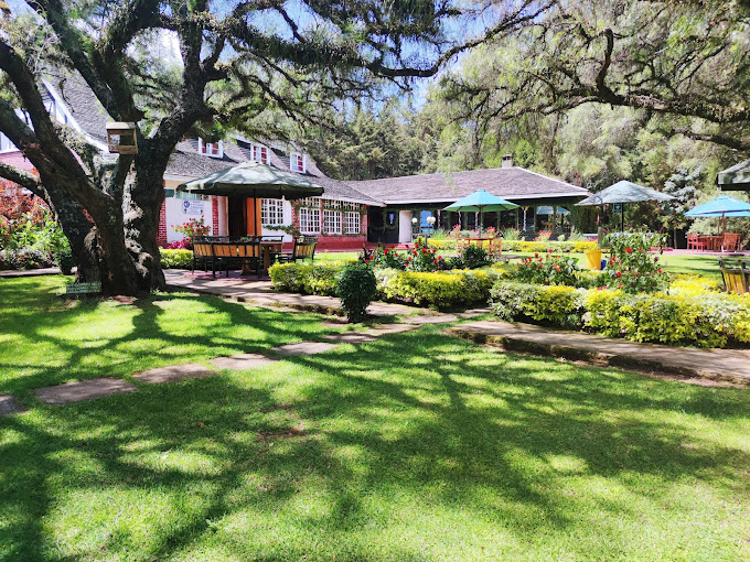 THOMSONS FALLS LODGE