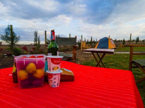 Acacia Square & Camping