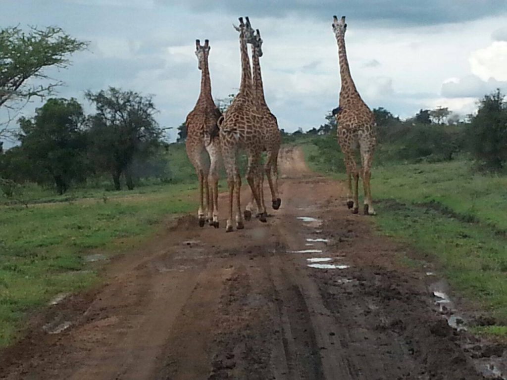 Maanzoni Wildlife Estate