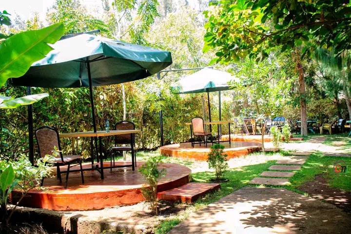 Kilimanjaro Hillside Resort