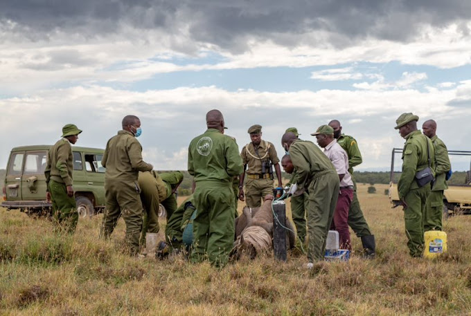 Ol Pejeta Conservancy