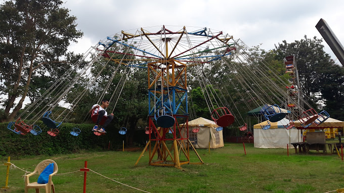 Luna Park international