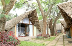 The Giraffe Cottages