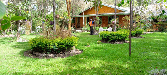 Olooloitikoshi Delights – Birika