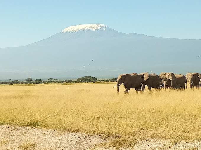 Amboseli National Park