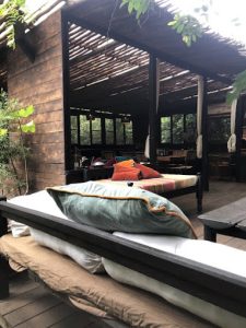 Amboni Riverine Forest Camp