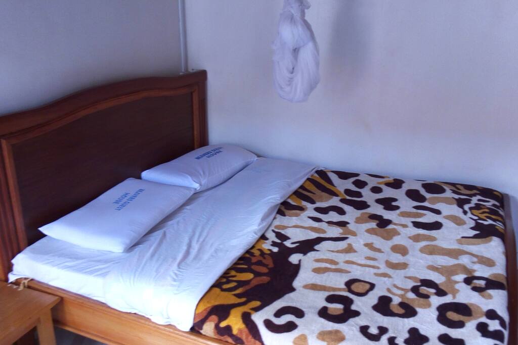 Skuta Beavers Guest House