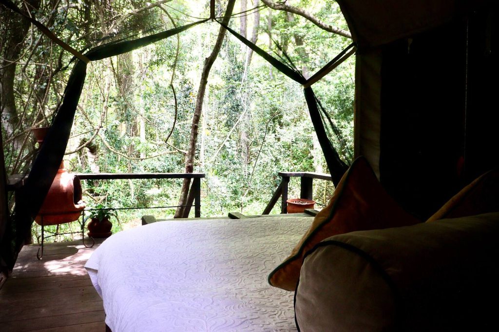 Amboni Riverine Forest Camp