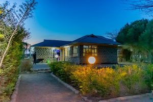 BILLIONAIRES (SWARA PARK)